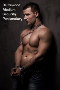 Baixar Brutewood Medium Security Penitentiary, Vol. 2: Hard-Edged Gay Prison Erotica (Jailhouse Sextravaganza Book 12) (English Edition) pdf, epub, eBook