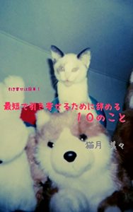 Baixar Saitandehikiyoserutameniyameru10nokoto: hikiyosehakanntann (Japanese Edition) pdf, epub, eBook