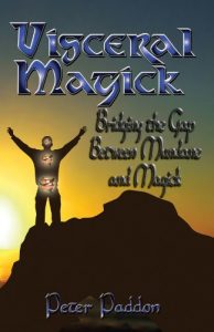 Baixar Visceral Magick (English Edition) pdf, epub, eBook