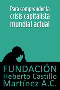 Baixar Para comprender la crisis capitalista mundial actual (Foros) (Spanish Edition) pdf, epub, eBook