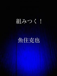 Baixar kumitsuku (Japanese Edition) pdf, epub, eBook