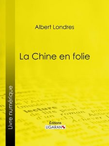 Baixar La Chine en folie (French Edition) pdf, epub, eBook