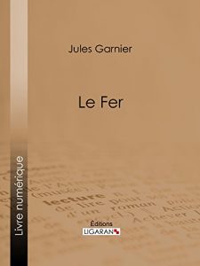 Baixar Le Fer (French Edition) pdf, epub, eBook