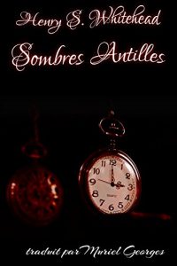 Baixar Sombres Antilles (traduit) (Trois heures du matin t. 3) (French Edition) pdf, epub, eBook