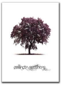 Baixar collecte sombres (French Edition) pdf, epub, eBook