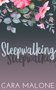 Baixar Sleepwalking: A Lesbian Romance Novella (Women of Westbrook Book 1) (English Edition) pdf, epub, eBook