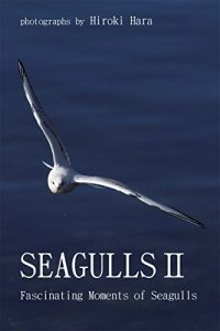Baixar Seagulls2: fascinating moments of seagulls KAMOME (Japanese Edition) pdf, epub, eBook