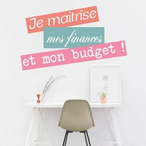 Baixar Je maitrise mon budget et mes finances (French Edition) pdf, epub, eBook