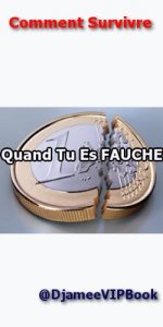 Baixar Comment Survivre Quand Tu Es Fauche (French Edition) pdf, epub, eBook