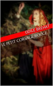 Baixar LE PETIT CORSAGE ROUGE (French Edition) pdf, epub, eBook