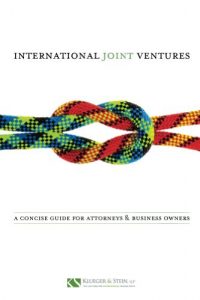 Baixar International Joint Ventures (English Edition) pdf, epub, eBook