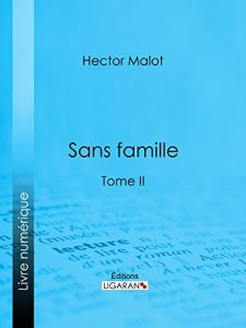 Baixar Sans famille: Tome II (French Edition) pdf, epub, eBook