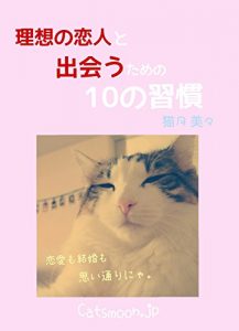 Baixar The 10 habits to get the ideal lover (Japanese Edition) pdf, epub, eBook