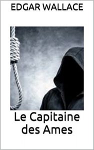 Baixar Le Capitaine des Ames (French Edition) pdf, epub, eBook