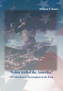Baixar Wohin treibst du, Amerika?: -Mit erloschenem Sternenglanz in die Krise- (German Edition) pdf, epub, eBook