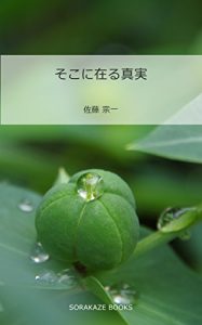 Baixar sokoniarushinjitsu (SORAKAZE BOOKS) (Japanese Edition) pdf, epub, eBook