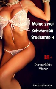 Baixar Meine zwei schwarzen Studenten 3: Der perfekte Vierer (German Edition) pdf, epub, eBook