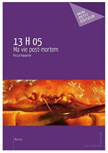 Baixar 13H05: Ma vie post-mortem (French Edition) pdf, epub, eBook