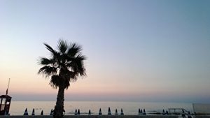 Baixar Il petalo e il bambino pdf, epub, eBook