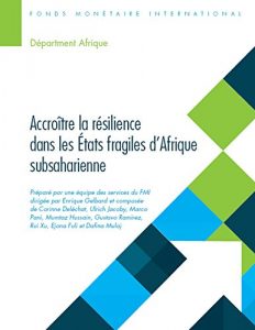 Baixar Building Resilience in Sub-Saharan Africa’s Fragile States (Departmental Papers) pdf, epub, eBook