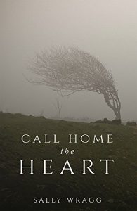 Baixar Call Home The Heart (English Edition) pdf, epub, eBook