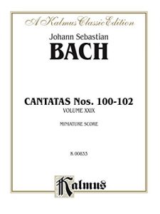 Baixar Cantatas No. 100-102, Volume XXIX: Chorus/Choir Worship Collection (Miniature Score) (Kalmus Edition) pdf, epub, eBook
