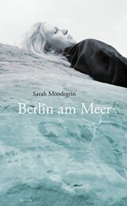 Baixar Berlin am Meer: Roman pdf, epub, eBook