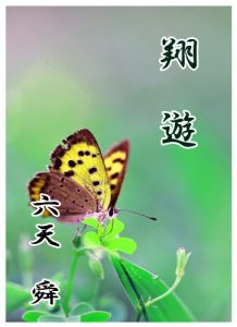 Baixar shouyu (Japanese Edition) pdf, epub, eBook