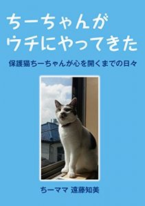 Baixar CHIchan-ga uchini yattekita: hogoneko Chichan-ga kokorowohirakumadenohibi (Japanese Edition) pdf, epub, eBook