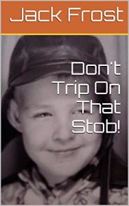 Baixar Don’t Trip On That Stob! (Jack Frost Book 2) (English Edition) pdf, epub, eBook