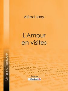 Baixar L’Amour en visites (French Edition) pdf, epub, eBook