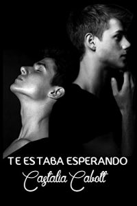 Baixar Te estaba esperando (Spanish Edition) pdf, epub, eBook