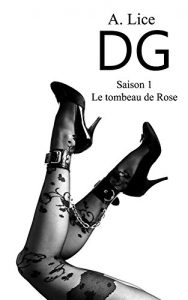 Baixar DG Saison 1 Le tombeau de Rose (Saga DG) (French Edition) pdf, epub, eBook