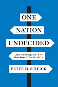 Baixar One Nation Undecided: Clear Thinking about Five Hard Issues That Divide Us pdf, epub, eBook