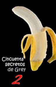 Baixar CINCUENTA SECRETOS DE GREY 2 (Spanish Edition) pdf, epub, eBook