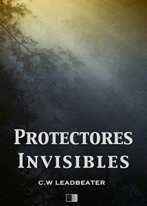 Baixar Protectores Invisibles pdf, epub, eBook