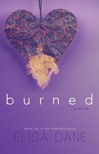 Baixar Burned: Crushed Series Book Two (English Edition) pdf, epub, eBook