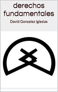 Baixar derechos fundamentales: David Gonzalez Iglesias (Spanish Edition) pdf, epub, eBook