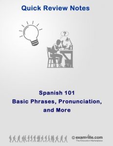 Baixar Spanish 101: Basic Phrases, Pronunciation and More (Quick Review Notes) (Spanish Edition) pdf, epub, eBook