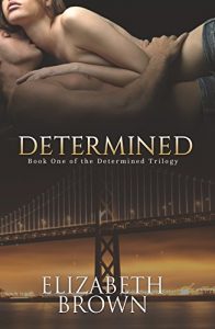 Baixar Determined: Billionaire Romance (The Determined Trilogy Book 1) (English Edition) pdf, epub, eBook