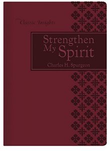 Baixar Strengthen My Spirit (Classic Insights) (English Edition) pdf, epub, eBook