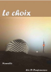 Baixar Le choix (French Edition) pdf, epub, eBook