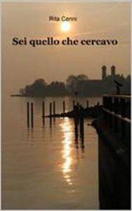 Baixar Sei quello che cercavo (Italian Edition) pdf, epub, eBook