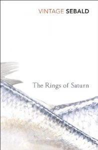 Baixar The Rings Of Saturn pdf, epub, eBook