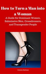 Baixar How to Turn a Man into a Woman: A Guide for Dominant Women, Submissive Men, Crossdressers, and Transexuals (English Edition) pdf, epub, eBook