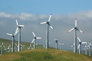 Baixar CINCO  PROYECTOS  PARA MEJORAR  LA  CIUDAD  DE MONTEVIDEO (Spanish Edition) pdf, epub, eBook