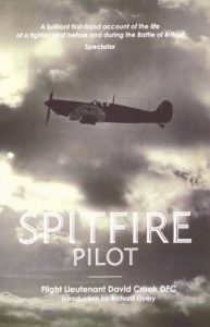 Baixar Spitfire Pilot: A Personal Account of the Battle of Britain pdf, epub, eBook