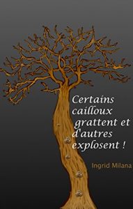 Baixar Certains cailloux grattent et d’autres explosent ! (French Edition) pdf, epub, eBook