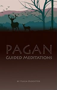 Baixar Pagan Guided Meditations (English Edition) pdf, epub, eBook