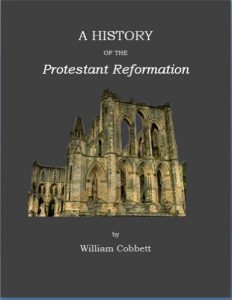 Baixar A History of the Protestant Reformation: in England and Ireland (Illustrated) (English Edition) pdf, epub, eBook